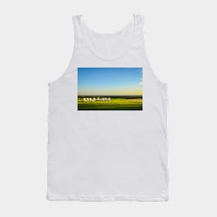 Lawn Chairs Tank Top